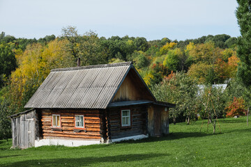 Obraz premium Nature