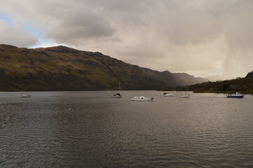 The stunning autumn landscape with Highland Cattle cows and nature in Scotland