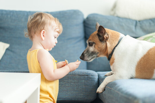 Baby sharing food with dog