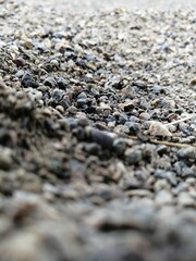track on the sand