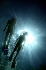 two women snorkeling in crystal clear water in Fernando de Noronha island
