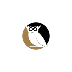 Owl logo template vector