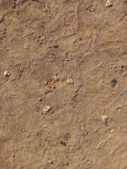 sand