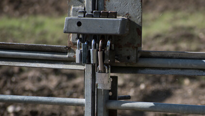 Seven padlocks securing a gate in an agricultural area, with greenery and mud in the background. 