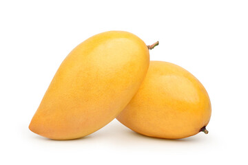 Two ripe mangoes isolated on white background. Clipping path.