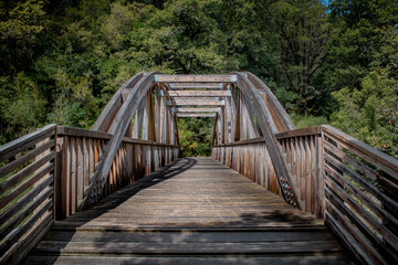 Fototapeta premium Saint Miguel bridge, in albergaria forest, portugal
