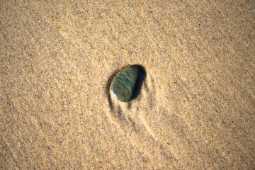 A small stone on the beach washed by the sea fleece.