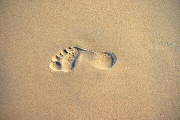 Footprint on a wet beach.
