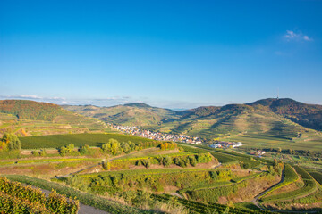Oberbergen im Kaiserstuhl - Aussicht vom Aussichtspunkt Mondhalde, Blick Richtung Totenkopf - Stadt Vogtsburg im Kaiserstuhl / Baden-Württemberg / Deutschland