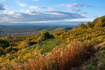 Bischoffingen im Kaiserstuhl - Aussicht vom Aussichtspunkt Mondhalde - Stadt Vogtsburg im...