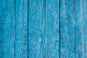 Fototapeta na wymiar Old wooden boards with crumbled cracked blue paint closeup as blue background