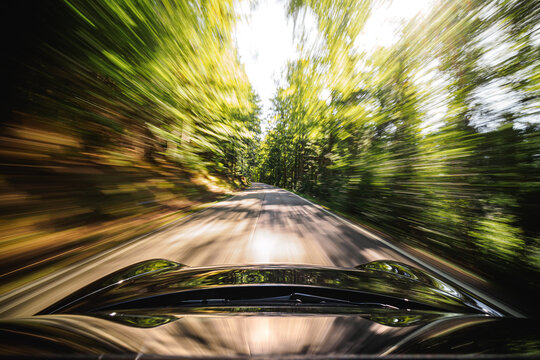 Schnelle Fahrt durch den Wald 2