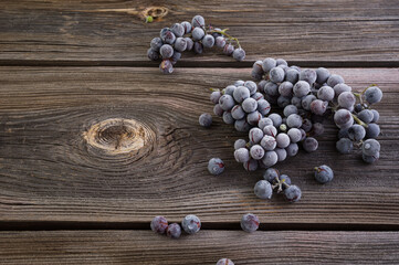 blue grapes with frost and hoarfrost on an old wooden table