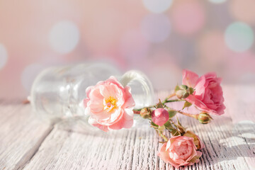 Small pink roses in a glass vase lie on a white wooden background.Behind a beautiful blurry pink background with bokeh.Floral background with copy space.
