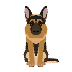 Vector portrait of german shepherd isolated on white background	
