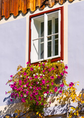 Fototapeta na wymiar Closed Window with petunia decoration
