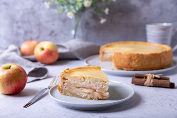 Apple pie with cinnamon and sour cream. Homemade baking. Traditional Russian pie. Close-up.