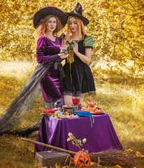 Wizard cosplay. Ideas for Halloween party, concept of autumn holidays, Women in witch costumes,...
