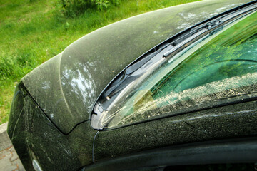 The spring detail of a car dirty from pollen. 