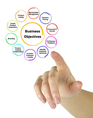 Ten Business Objectives