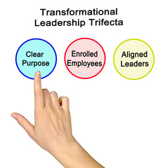 Woman Presenting Transformational Leadership Trifecta