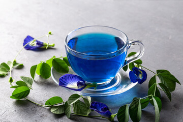 Butterfly pea blue pea tea on grey concrete background.