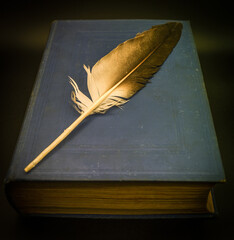 Penna e libro