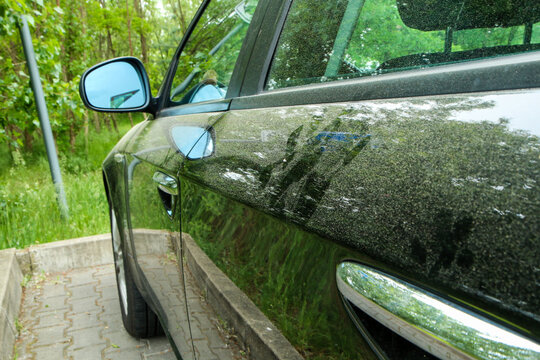 The spring detail of a car dirty from pollen. 