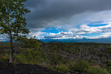 Deciduous tree in the foreground on the left against the background of the cloudy sky and the valley