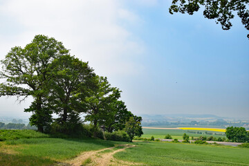 Feldweg im Mai nahe Bad Nenndorf