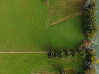 Drone shot of pasture near a lake. Copy space. Switzerland