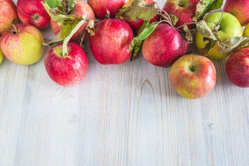 Summer gardening concept. Red ripe apples on white wooden background. Space for text, flat lay