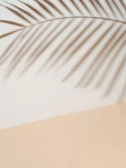 Fototapete Badezimmer Palm leaf shadow on white wall and cream pastel floor. Abstract background of shadows palm leaf for creative summer minimal mock-up. Neutral tropical palm mockup on light backdrop.Geometric background  © fascinadora