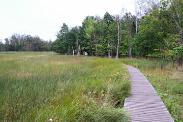 The picture from the national protected area in Czech Republic called SOOS. The former peat mining area.  