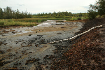 The picture from the national protected area in Czech Republic called SOOS. The former peat mining area.  
