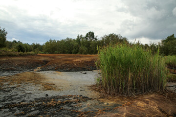 The picture from the national protected area in Czech Republic called SOOS. The former peat mining area.  