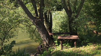Fototapeta na wymiar Table by the tree and the river