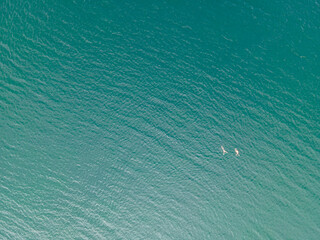 drone shot of people swimming in lake. Copy space