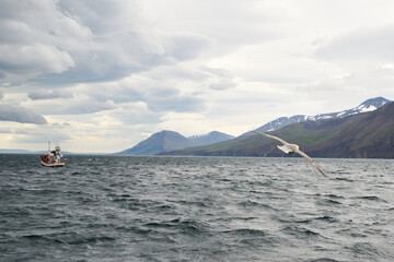 Whale watching ship in Husavik, on the north coast of Iceland