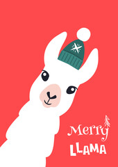 Christmas card with llama. Merry Christmas card
