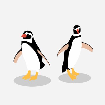 Illustration of a penguins couple on white background.