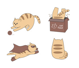 Funny cartoon cats. Striped and orange pets. Characters with different emotions and actions. They hide in a box, play with a ball and a super cat.