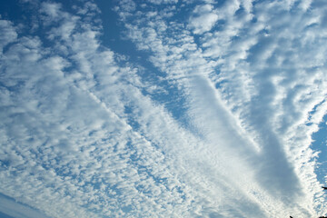 Fototapeta na wymiar The background of blue sky with white feathery clouds. 