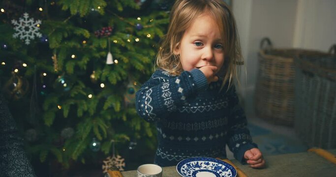A little preschooler is eating a mince pie by the christmas tree at home