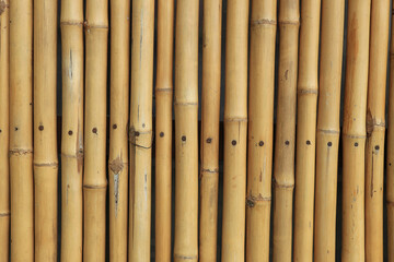 Old natural bamboo fence texture background