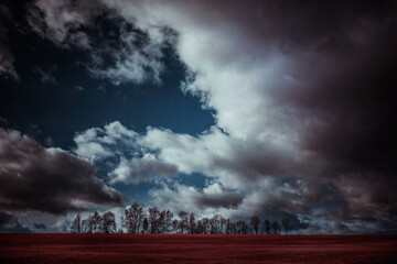 Dramatic sky above red field
