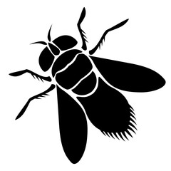 Fly vector icon. Fly sign on white background. Fly icon for web.