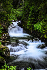 Mountain brook waterfall time lapse