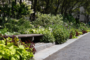 Empty Bench at Bryant Park surrounded by Flowers during Summer in Midtown Manhattan of New York City