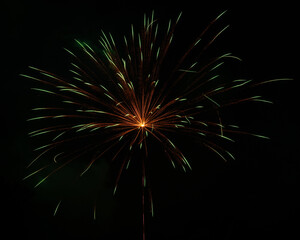fireworks in the night sky
